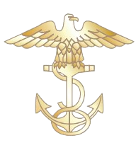 Insignia of a Navy Chief Petty Officer